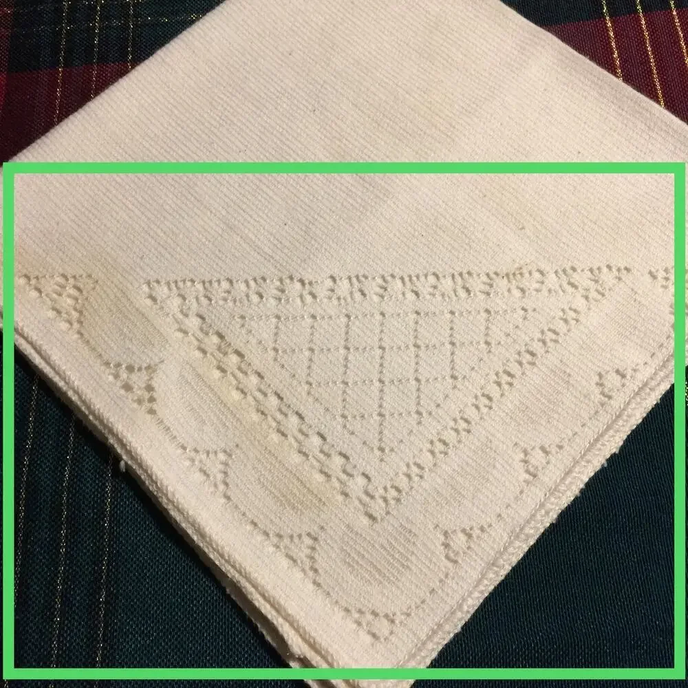 FLAWS Cloth napkins unbranded (4) total
